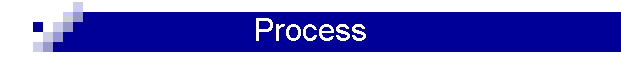 Process