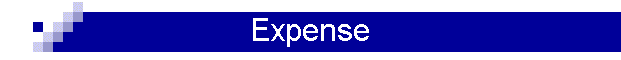 Expense