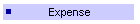 Expense