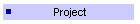 Project